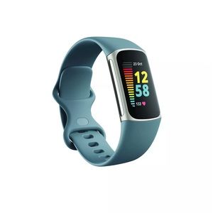FitBit Charge 5 with Steel Blue Band